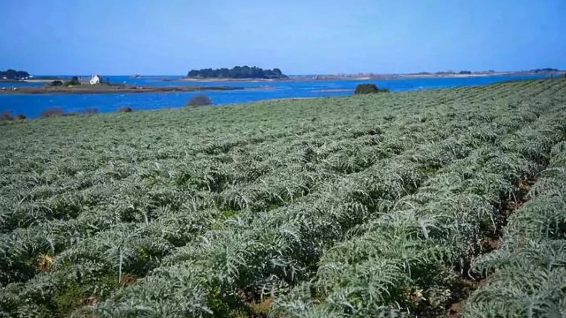 Maison Raguenez 4 Places Proche Paimpol Et Treguier Pleumeur-Gautier